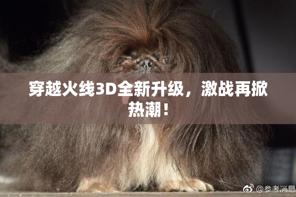 穿越火线3D全新升级，激战再掀热潮！