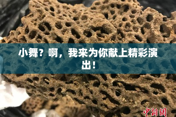 小舞？啊，我来为你献上精彩演出！