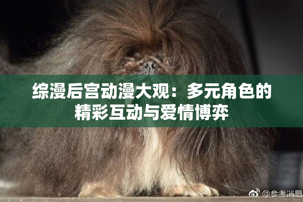 综漫后宫动漫大观：多元角色的精彩互动与爱情博弈
