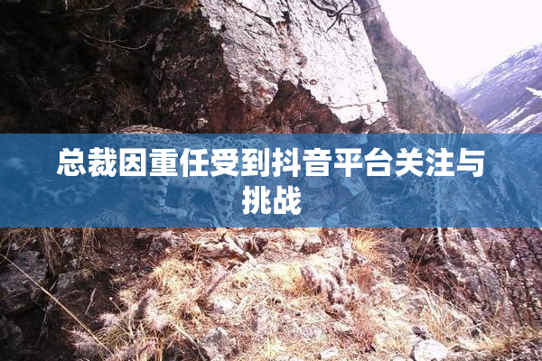 总裁因重任受到抖音平台关注与挑战