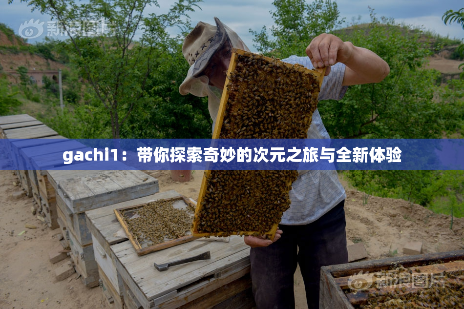 gachi1：带你探索奇妙的次元之旅与全新体验