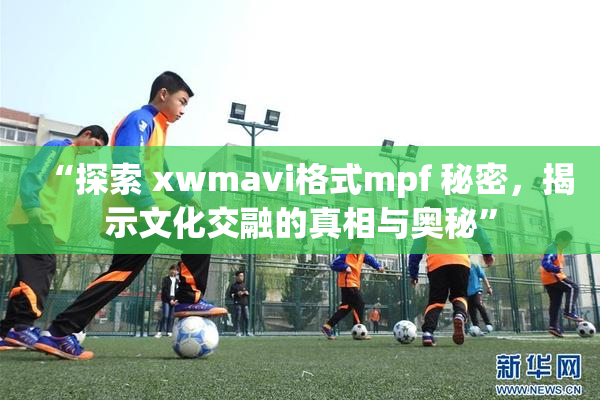 “探索 xwmavi格式mpf 秘密，揭示文化交融的真相与奥秘”