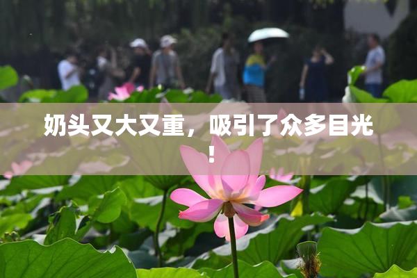 奶头又大又重，吸引了众多目光！