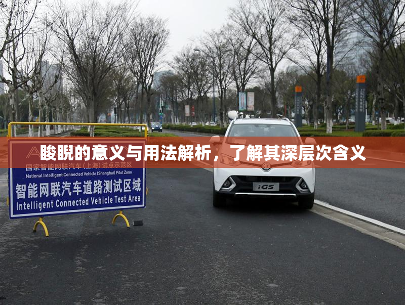 睃睨的意义与用法解析，了解其深层次含义