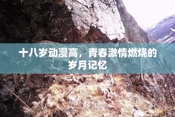 十八岁动漫高，青春激情燃烧的岁月记忆