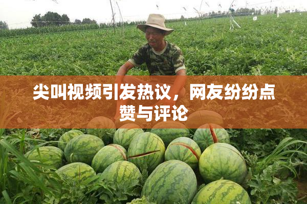 尖叫视频引发热议，网友纷纷点赞与评论