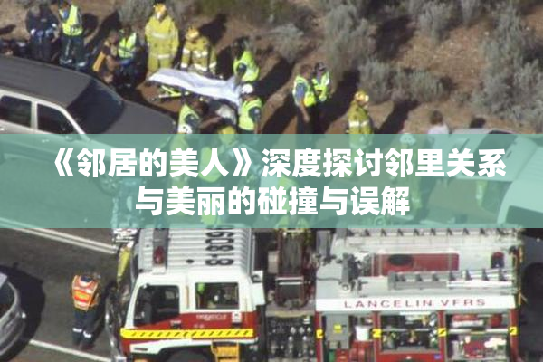 《邻居的美人》深度探讨邻里关系与美丽的碰撞与误解