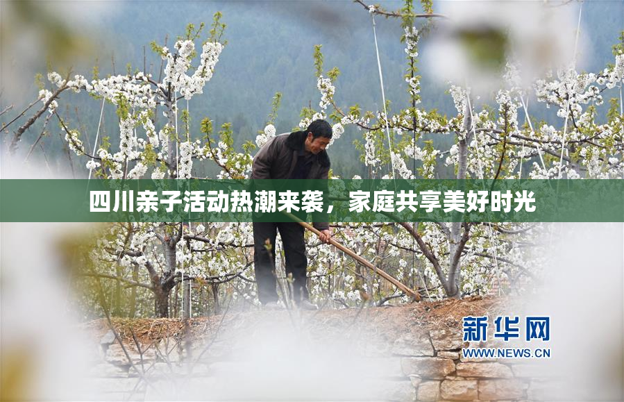 四川亲子活动热潮来袭，家庭共享美好时光