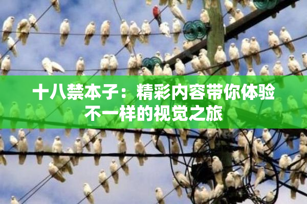 十八禁本子：精彩内容带你体验不一样的视觉之旅