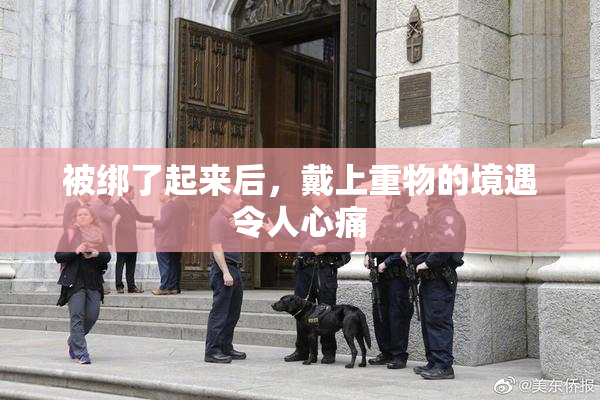 被绑了起来后，戴上重物的境遇令人心痛