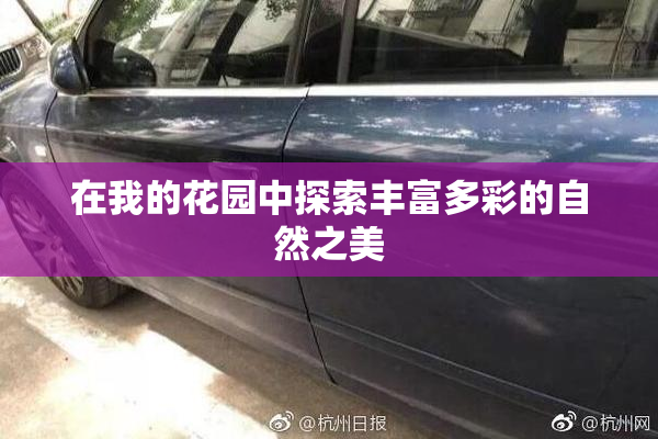 在我的花园中探索丰富多彩的自然之美