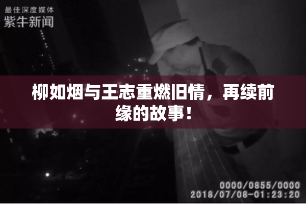 柳如烟与王志重燃旧情，再续前缘的故事！