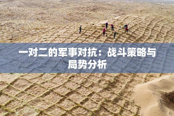 一对二的军事对抗：战斗策略与局势分析