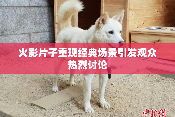 火影片子重现经典场景引发观众热烈讨论
