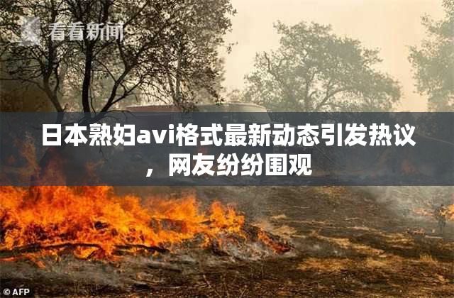 日本熟妇avi格式最新动态引发热议，网友纷纷围观
