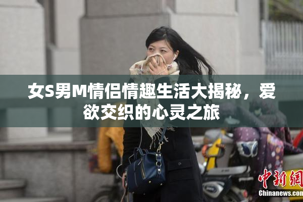 女S男M情侣情趣生活大揭秘，爱欲交织的心灵之旅
