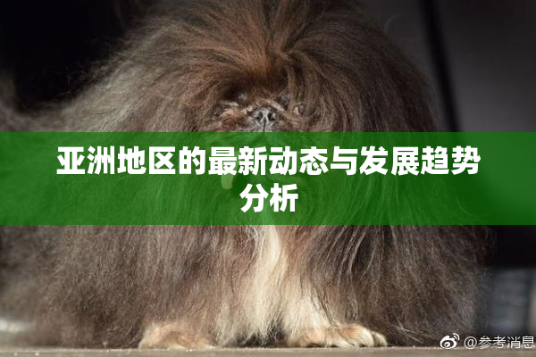 亚洲地区的最新动态与发展趋势分析