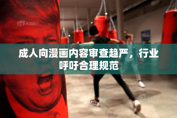 成人向漫画内容审查趋严，行业呼吁合理规范