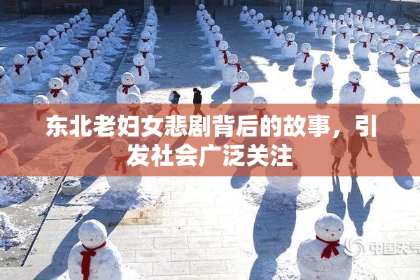 东北老妇女悲剧背后的故事，引发社会广泛关注