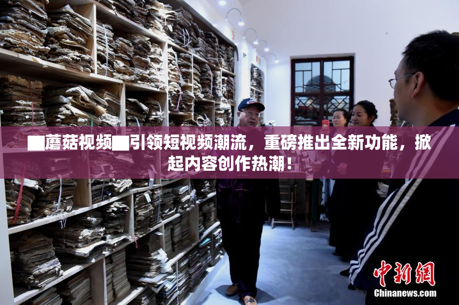 ▇蘑菇视频▇引领短视频潮流，重磅推出全新功能，掀起内容创作热潮！