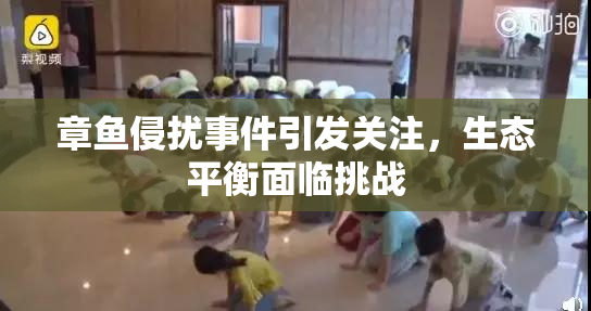 章鱼侵扰事件引发关注，生态平衡面临挑战