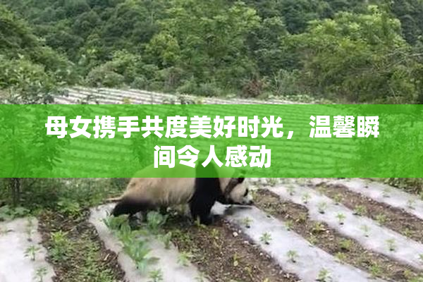 母女携手共度美好时光，温馨瞬间令人感动
