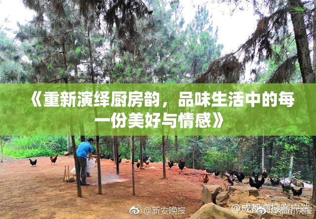 《重新演绎厨房韵，品味生活中的每一份美好与情感》