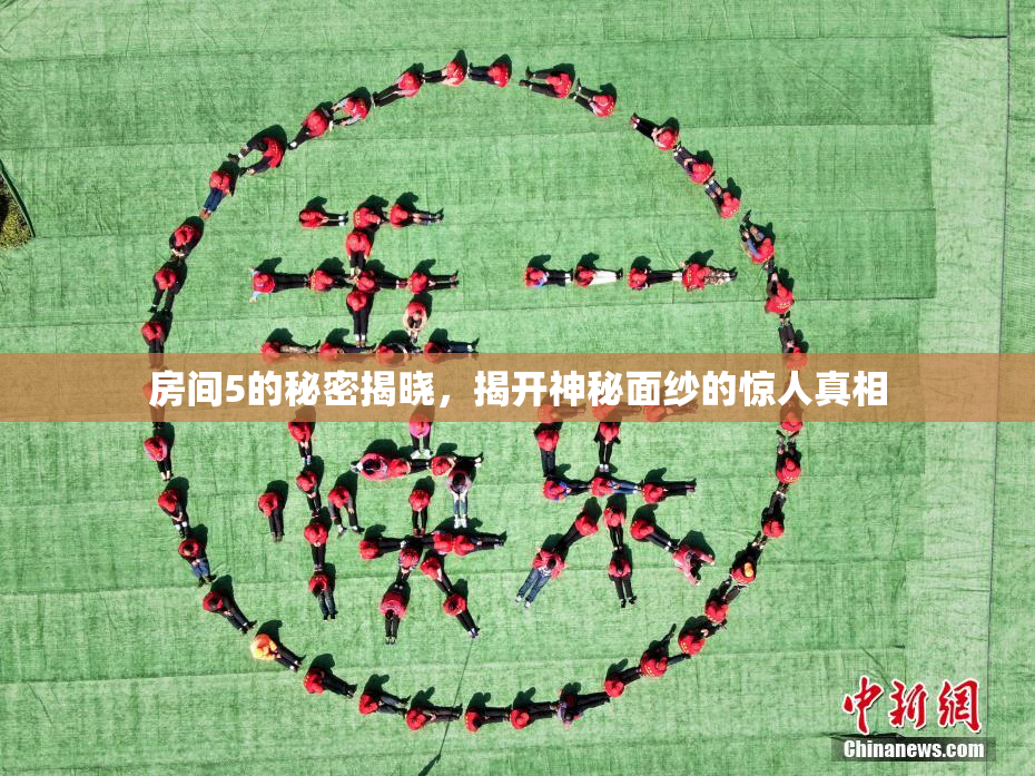 房间5的秘密揭晓，揭开神秘面纱的惊人真相