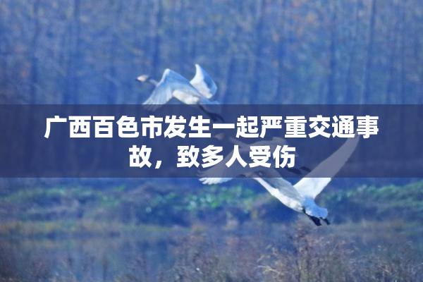 广西百色市发生一起严重交通事故，致多人受伤