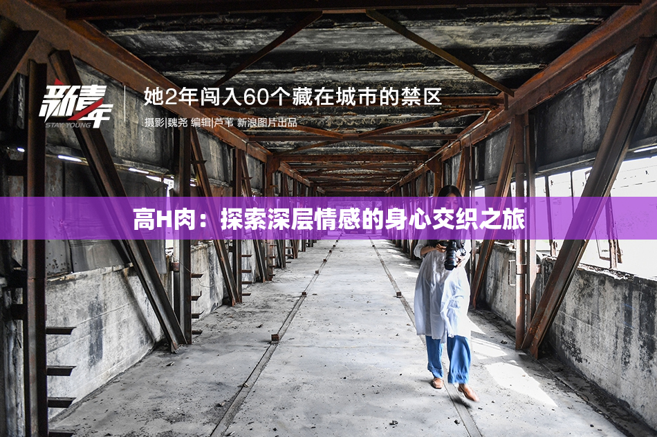 高H肉：探索深层情感的身心交织之旅