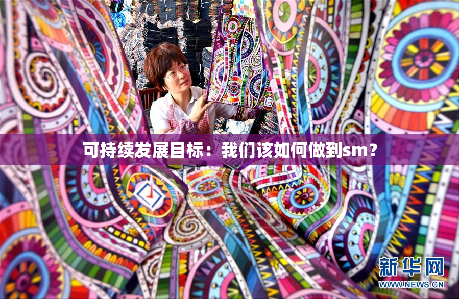 可持续发展目标：我们该如何做到sm？