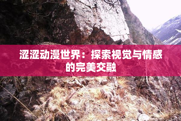 涩涩动漫世界：探索视觉与情感的完美交融