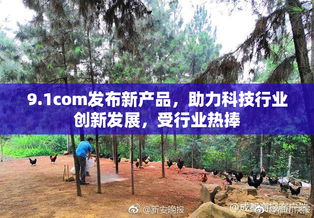 9.1com发布新产品，助力科技行业创新发展，受行业热捧