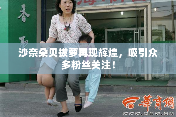 沙奈朵贝拔萝再现辉煌，吸引众多粉丝关注！