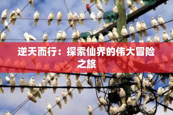 逆天而行：探索仙界的伟大冒险之旅