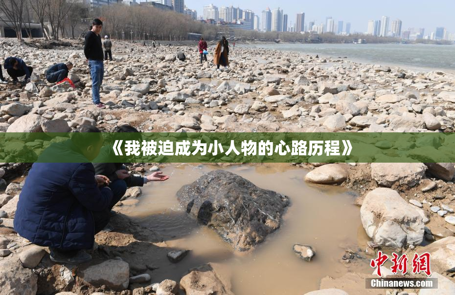 《我被迫成为小人物的心路历程》