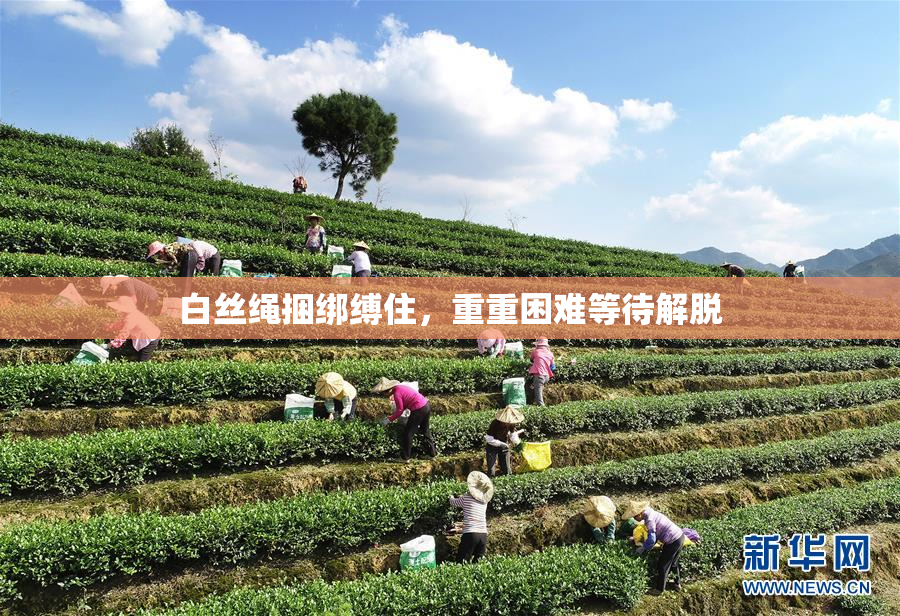 白丝绳捆绑缚住，重重困难等待解脱