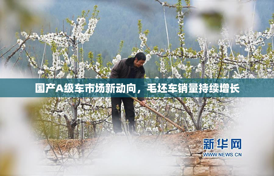 国产A级车市场新动向，毛坯车销量持续增长