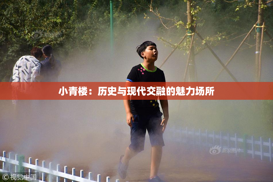 小青楼：历史与现代交融的魅力场所
