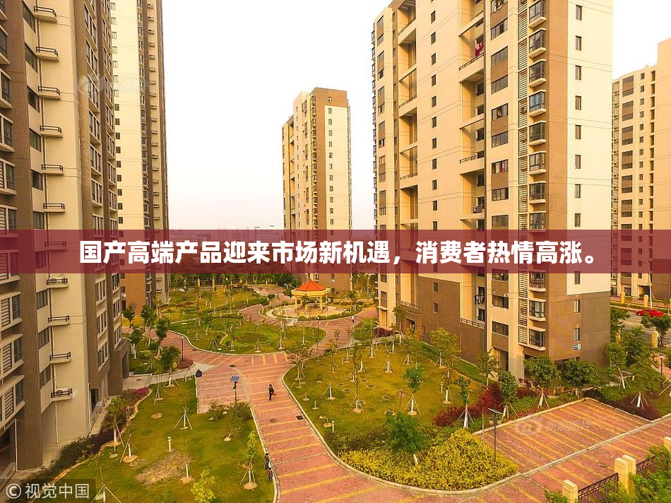 国产高端产品迎来市场新机遇，消费者热情高涨。