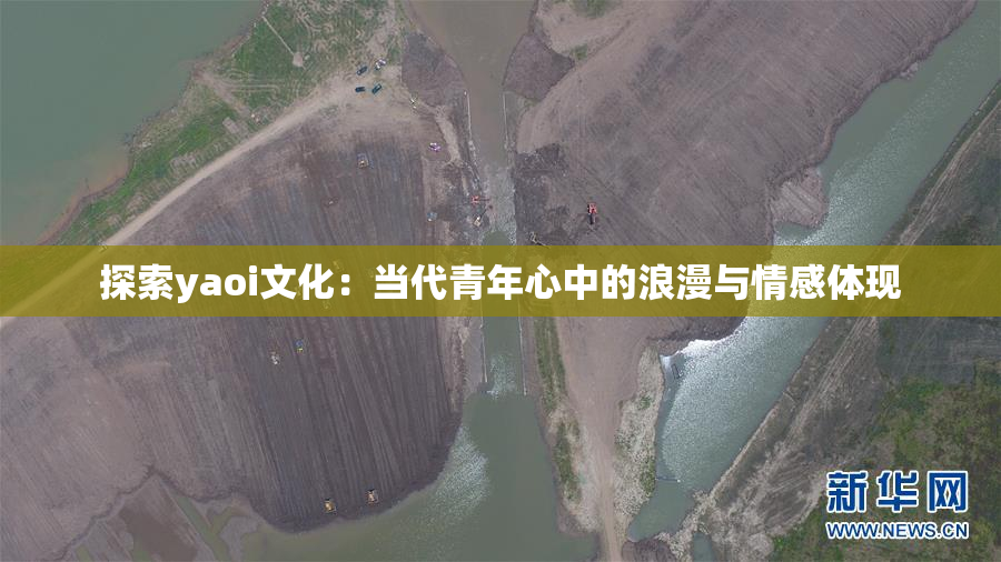 探索yaoi文化：当代青年心中的浪漫与情感体现