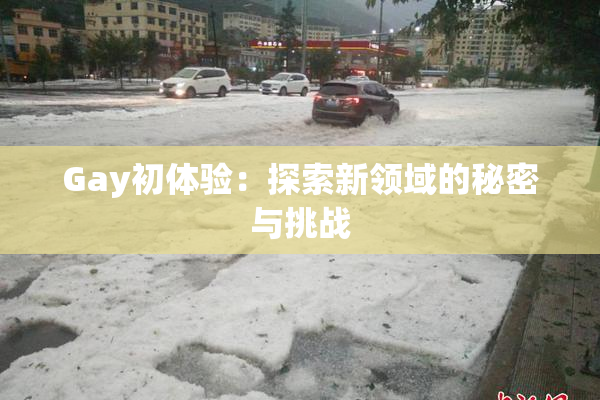 Gay初体验：探索新领域的秘密与挑战