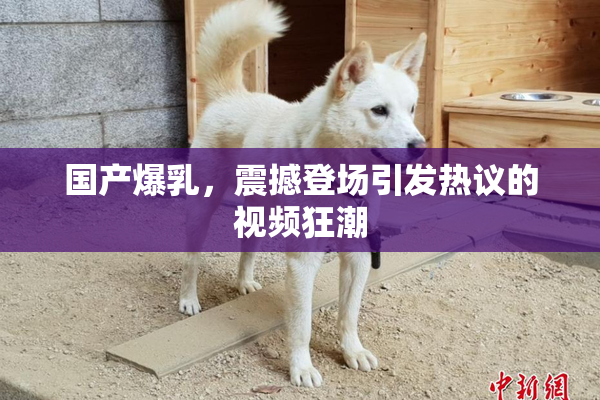 国产爆乳，震撼登场引发热议的视频狂潮