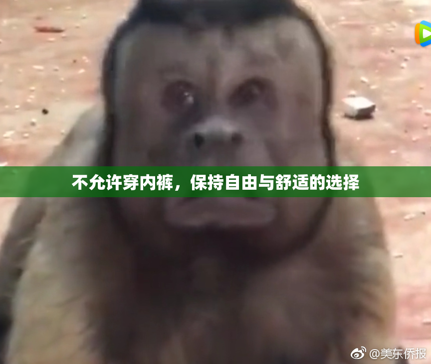 不允许穿内裤，保持自由与舒适的选择