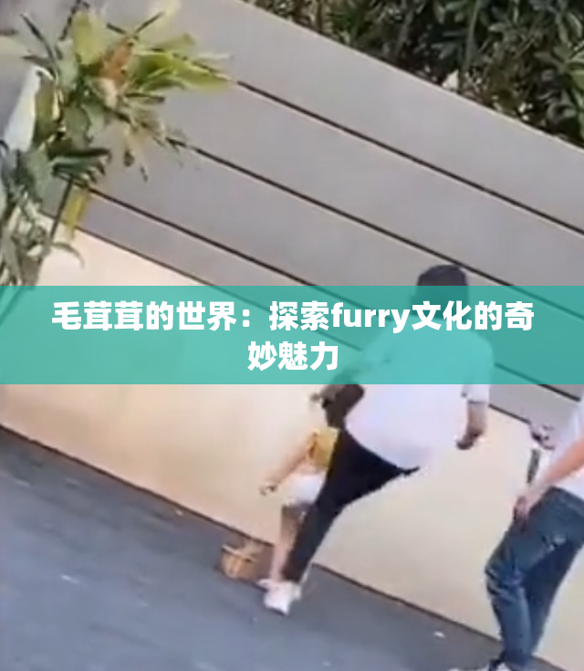 毛茸茸的世界：探索furry文化的奇妙魅力