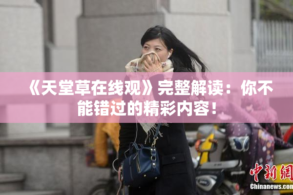 《天堂草在线观》完整解读：你不能错过的精彩内容！
