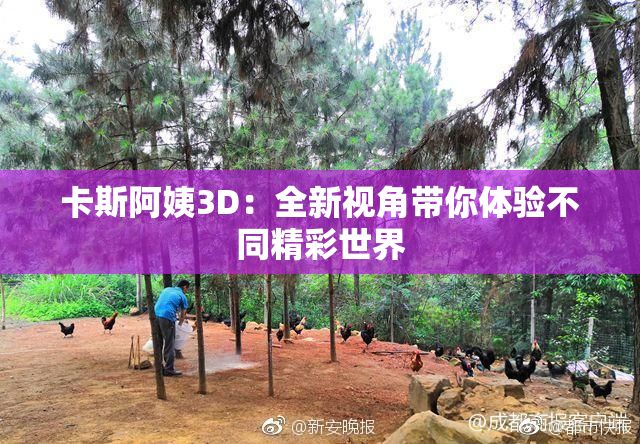 卡斯阿姨3D：全新视角带你体验不同精彩世界