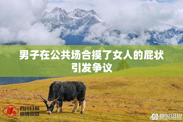 男子在公共场合摸了女人的屁状引发争议