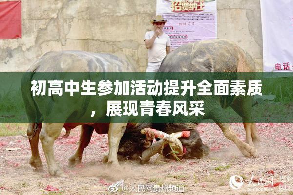 初高中生参加活动提升全面素质，展现青春风采