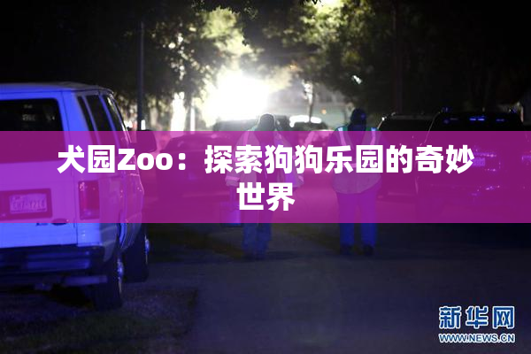 犬园Zoo：探索狗狗乐园的奇妙世界